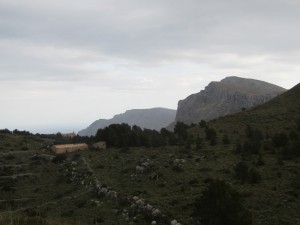 IMG_4764 (Medium)